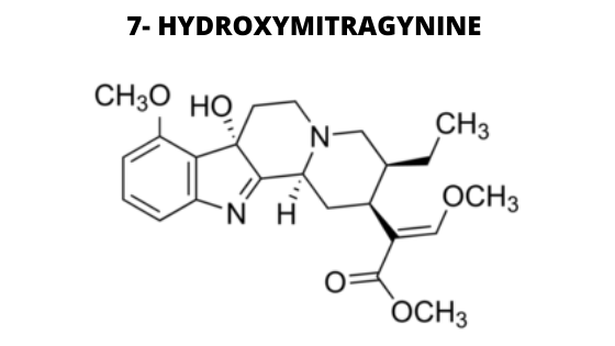 7- HYDROXYMITRAGYNINE