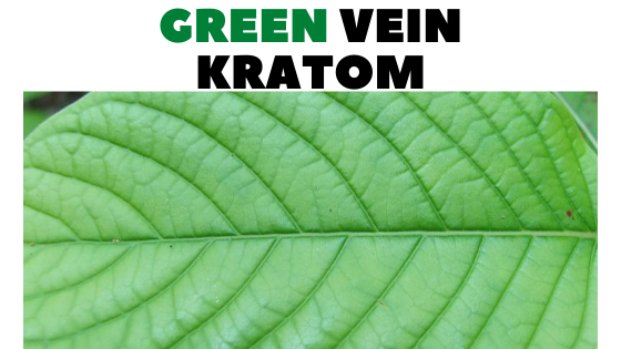 Green vein Kratom