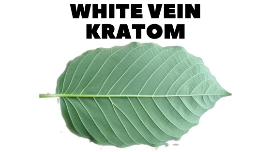 white vein kratom