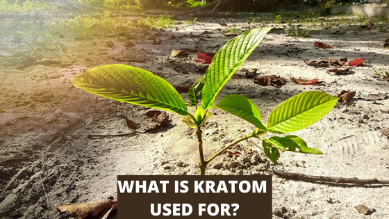 what is kratom used for
